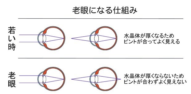 みんなの老視(老眼)事情!|メガネのリュクレ石沢